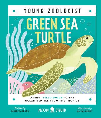 Green Sea Turtle (Young Zoologist)